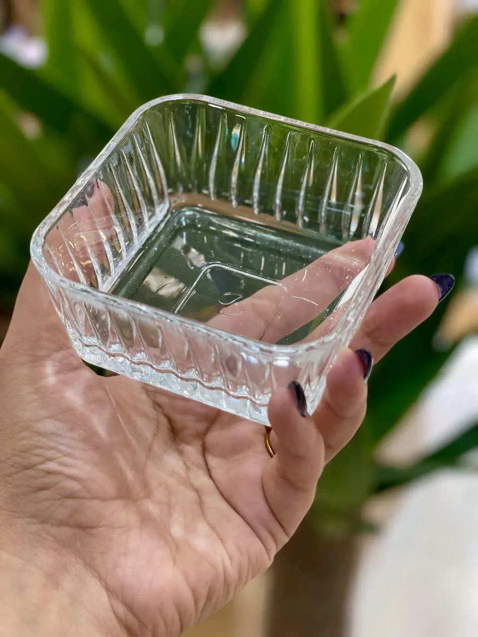 فروش فوق العاده پیاله تراشدار Frezya
