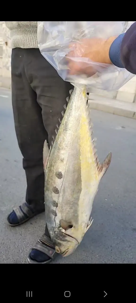 👇👇👇👇👇👇👇
