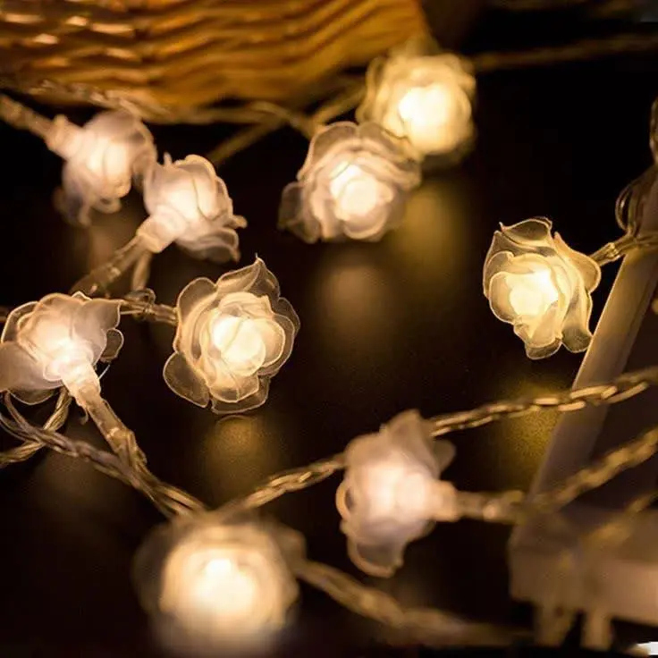 ظریف و فوق العاده زیبا 😍