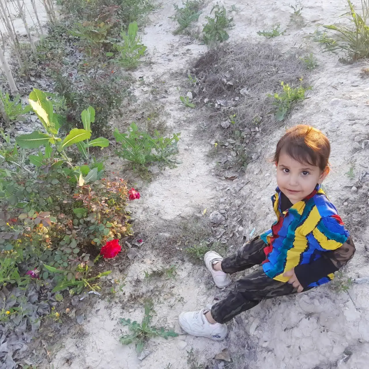 😍نام شرکت کننده: دیاناسرطاوی
