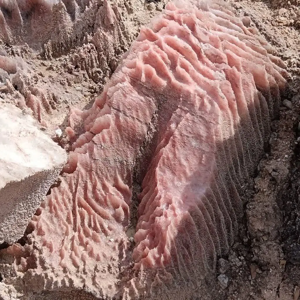 اسم نمک صورتی تاحالا به گوشتون
