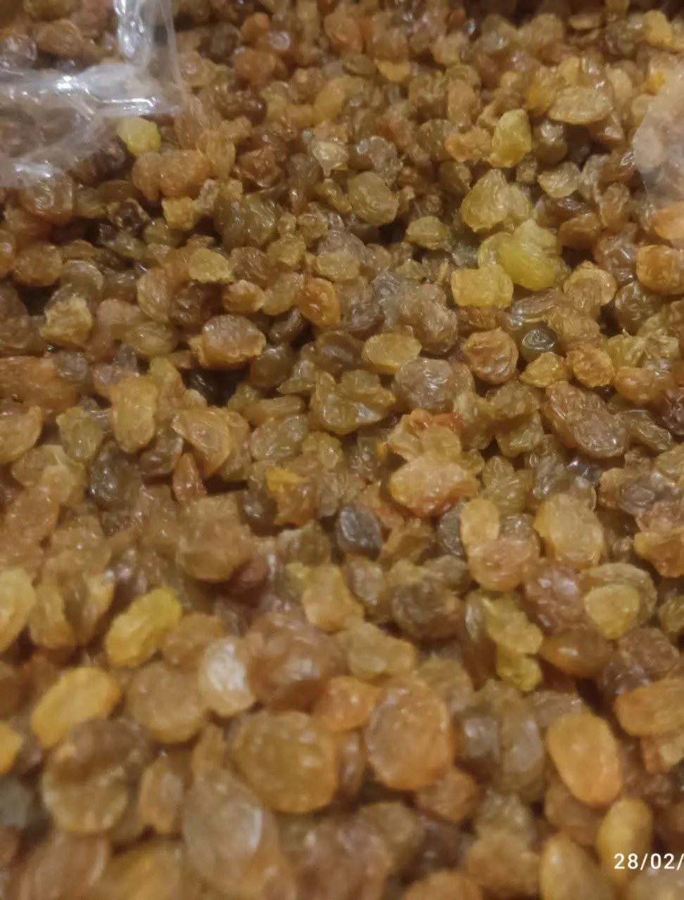 کشمش پلویی …اصلا با آدم حرف میزنه😍
