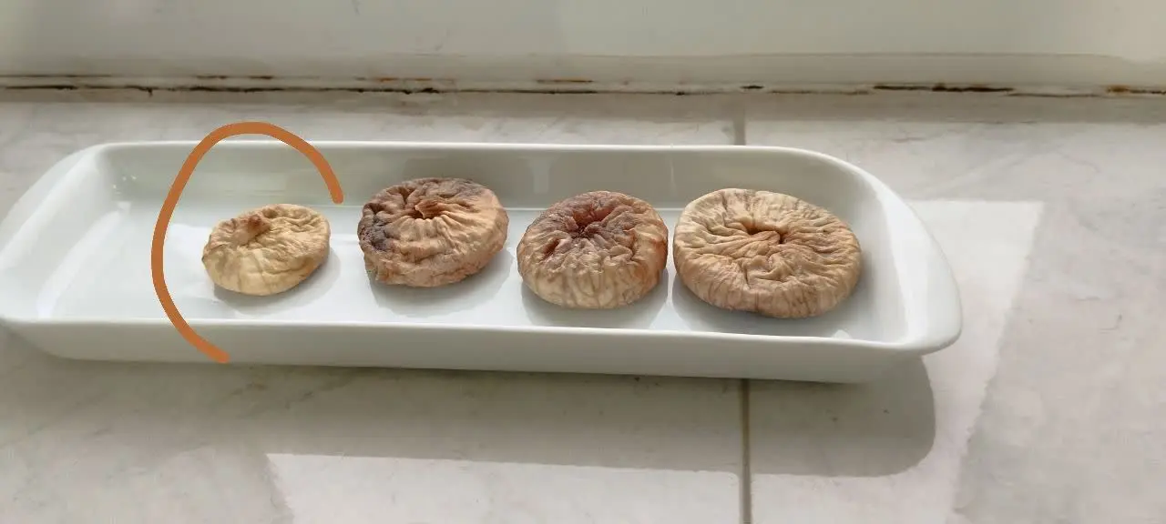 ✨ باتوجه به سایز و رنگ جدا بسته بندی شده
