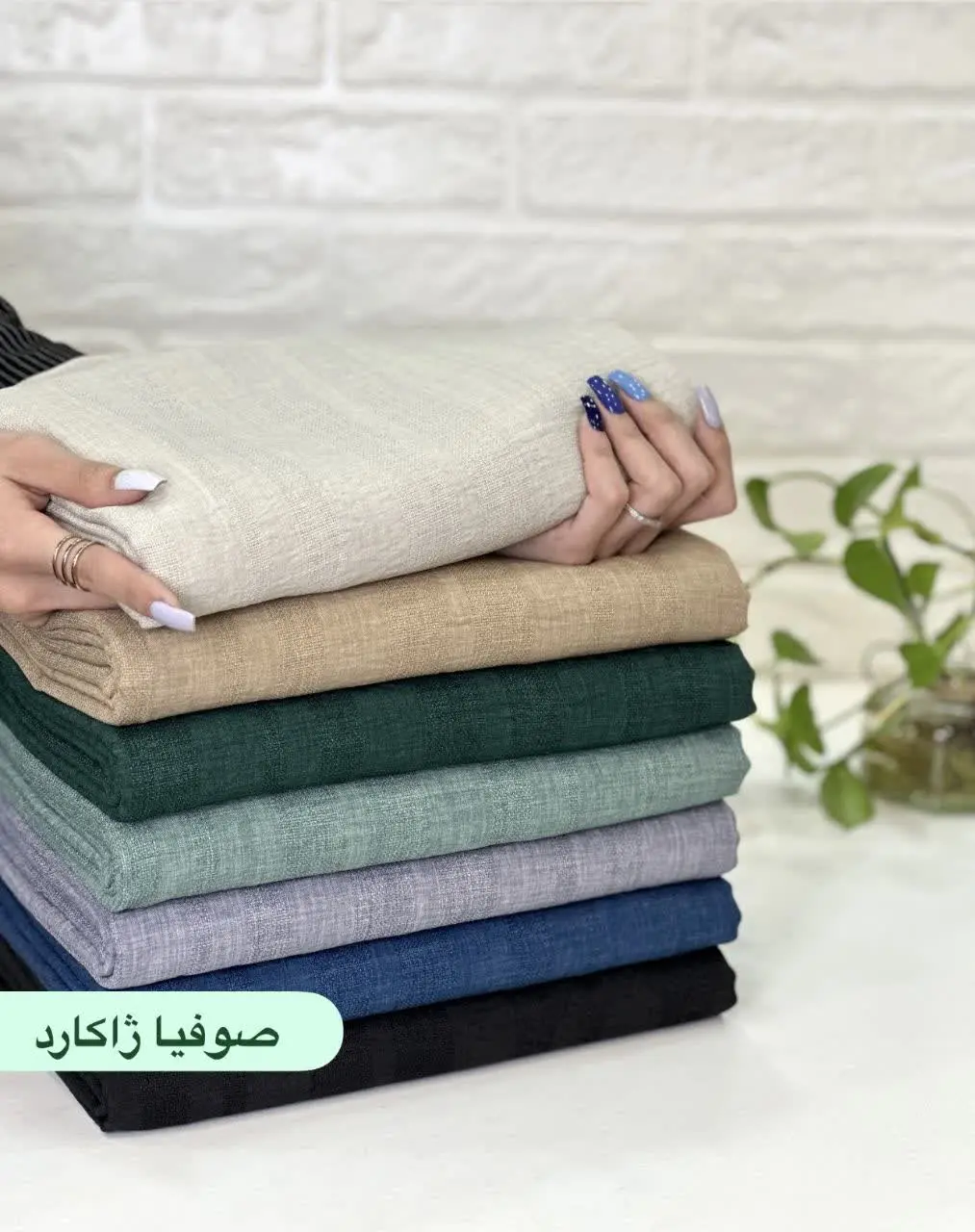 صوفیا ژاکارد
