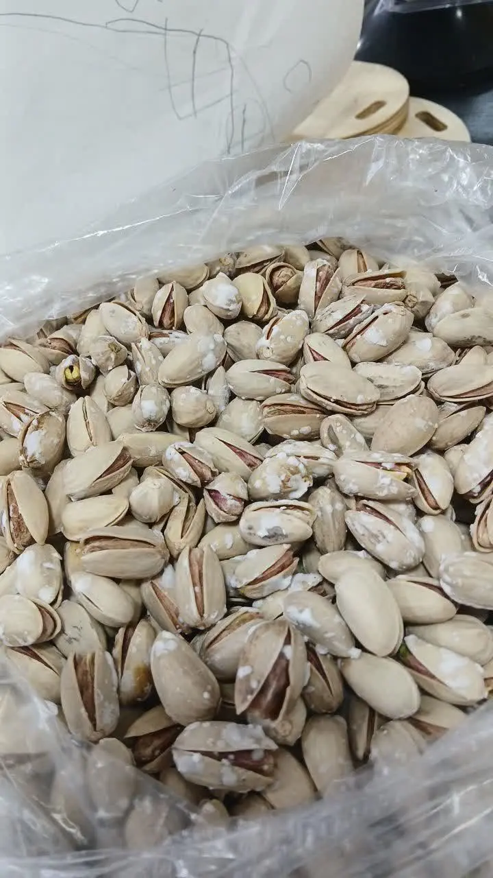 پسته شور کرده
