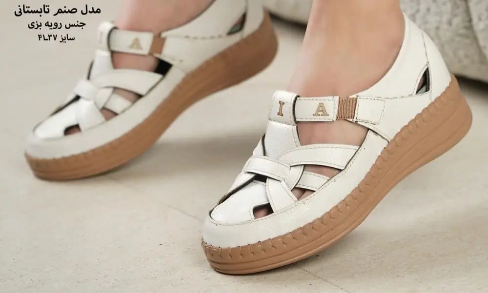 🔹مدل: تابستانی 
