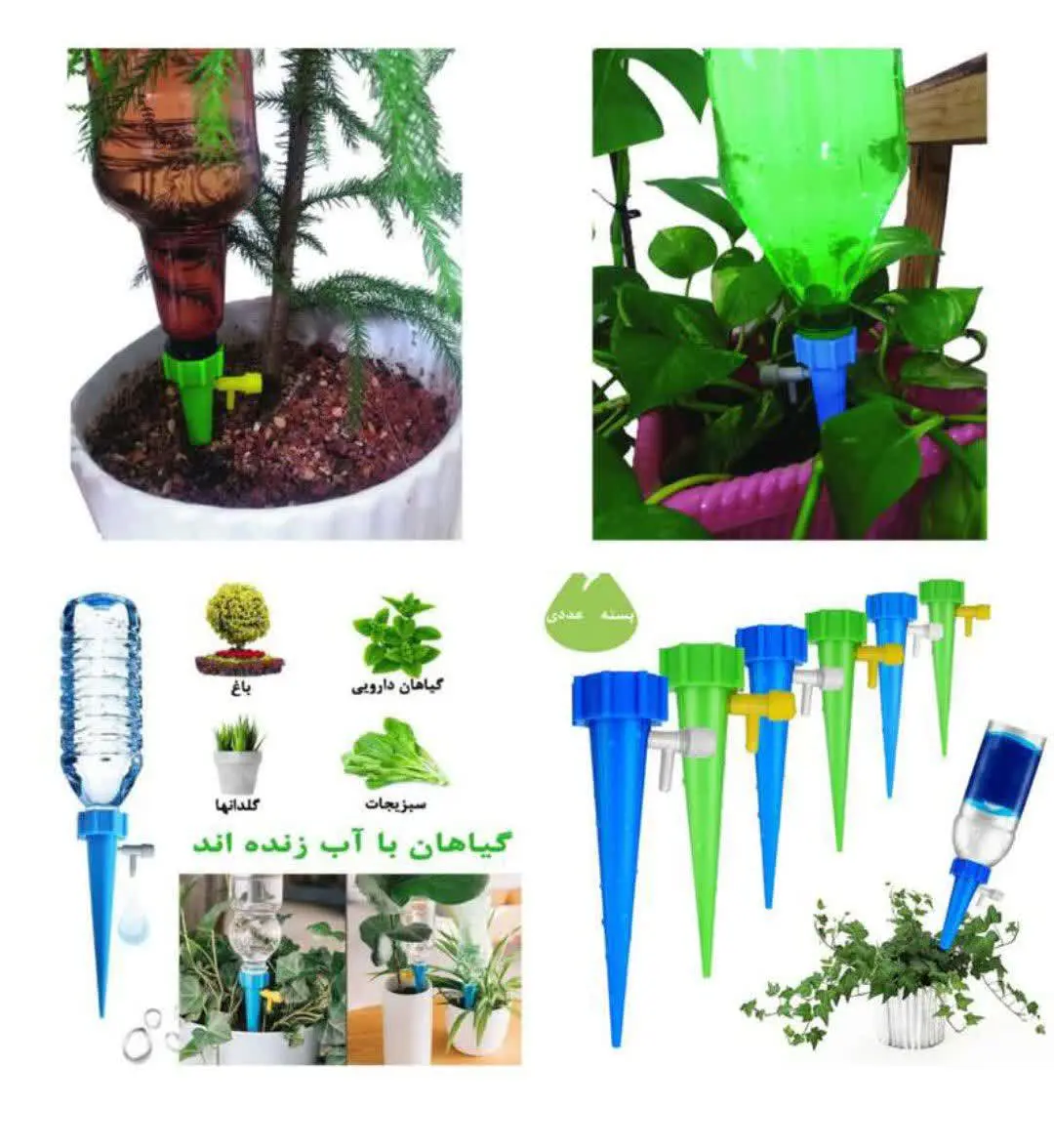 🪴پک دوعددی در هر بسته