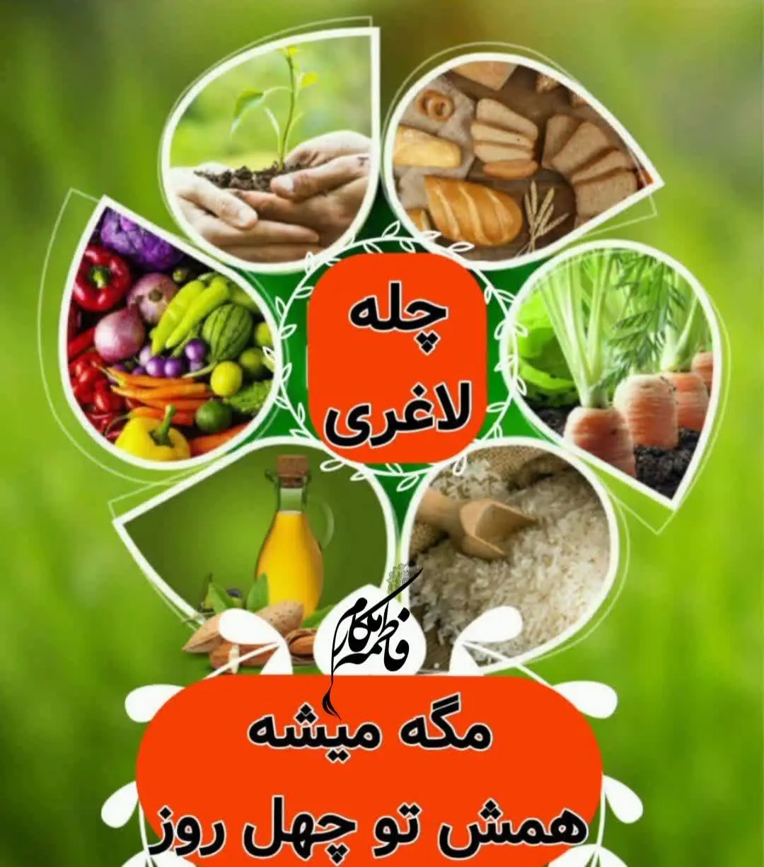 ثبت نام چله لاغری ۱۴۰۲شروع شد 😍
