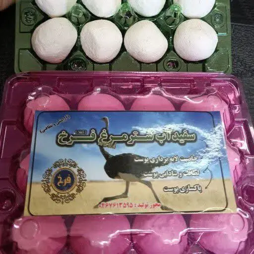 سفیداب شترمرغ 🐫🐔