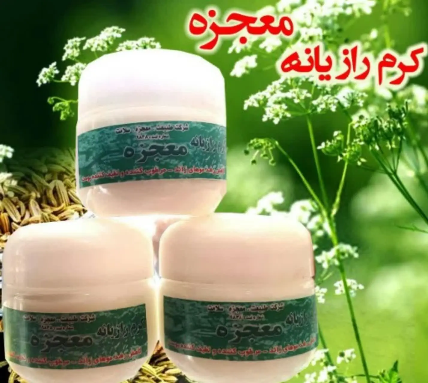 🌺#کرم_رازیانه_معجزه🌺
