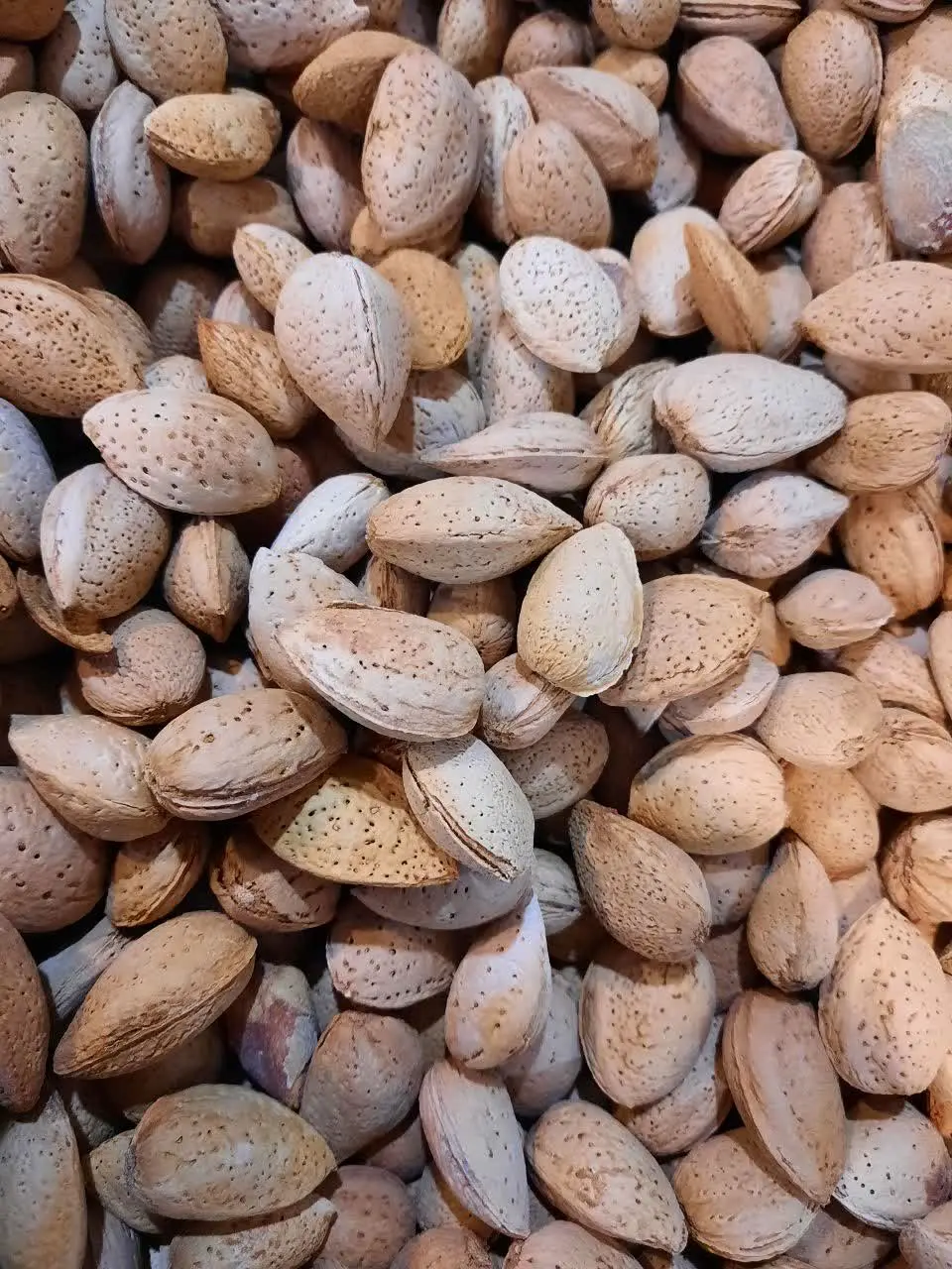 #بادام_سنگی
