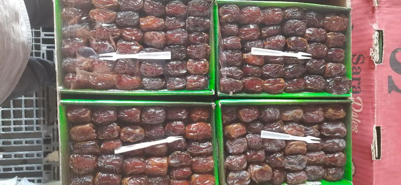 ✅ شارژ خرما مرداب سنگ
