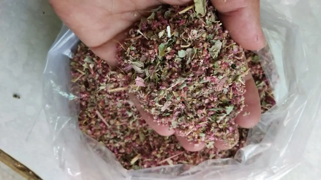 ✅ بار تاج خروس نرم رسید 
