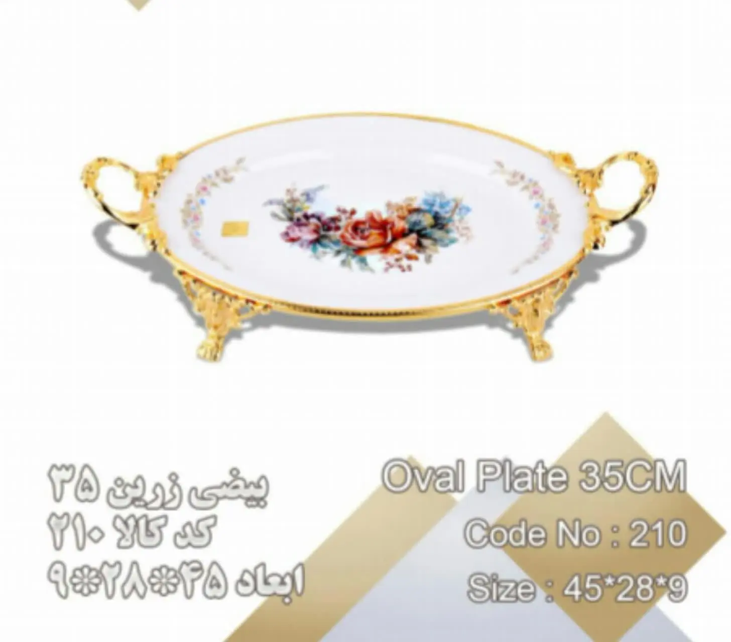 دیس بیضی بزرگ
