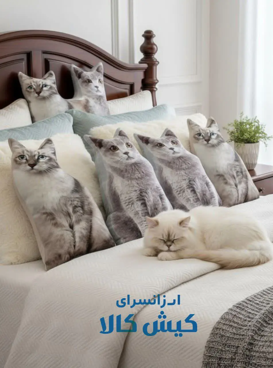 بالشت طرح گربه🐱