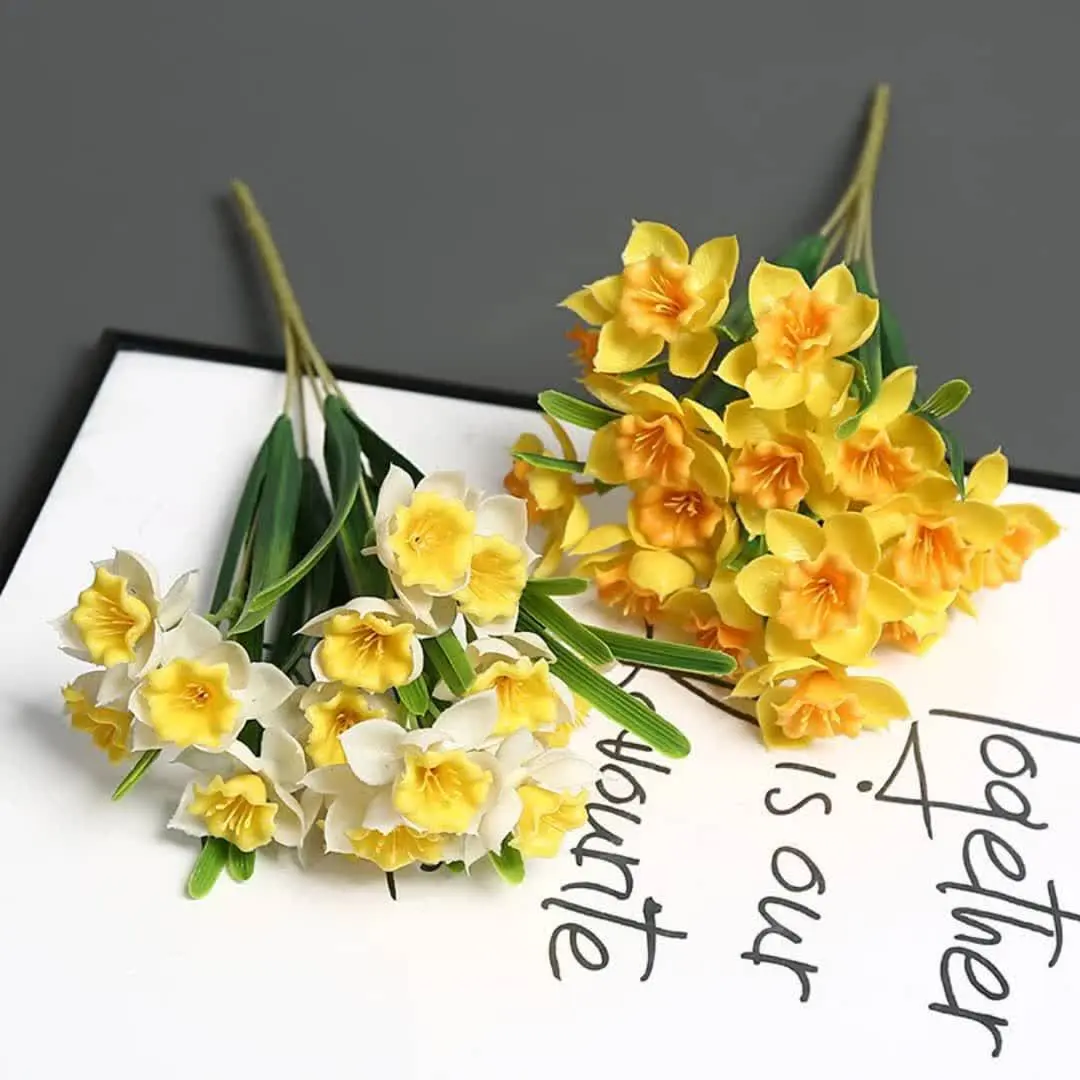 دسته ی گل نرگسی در دو رنگ