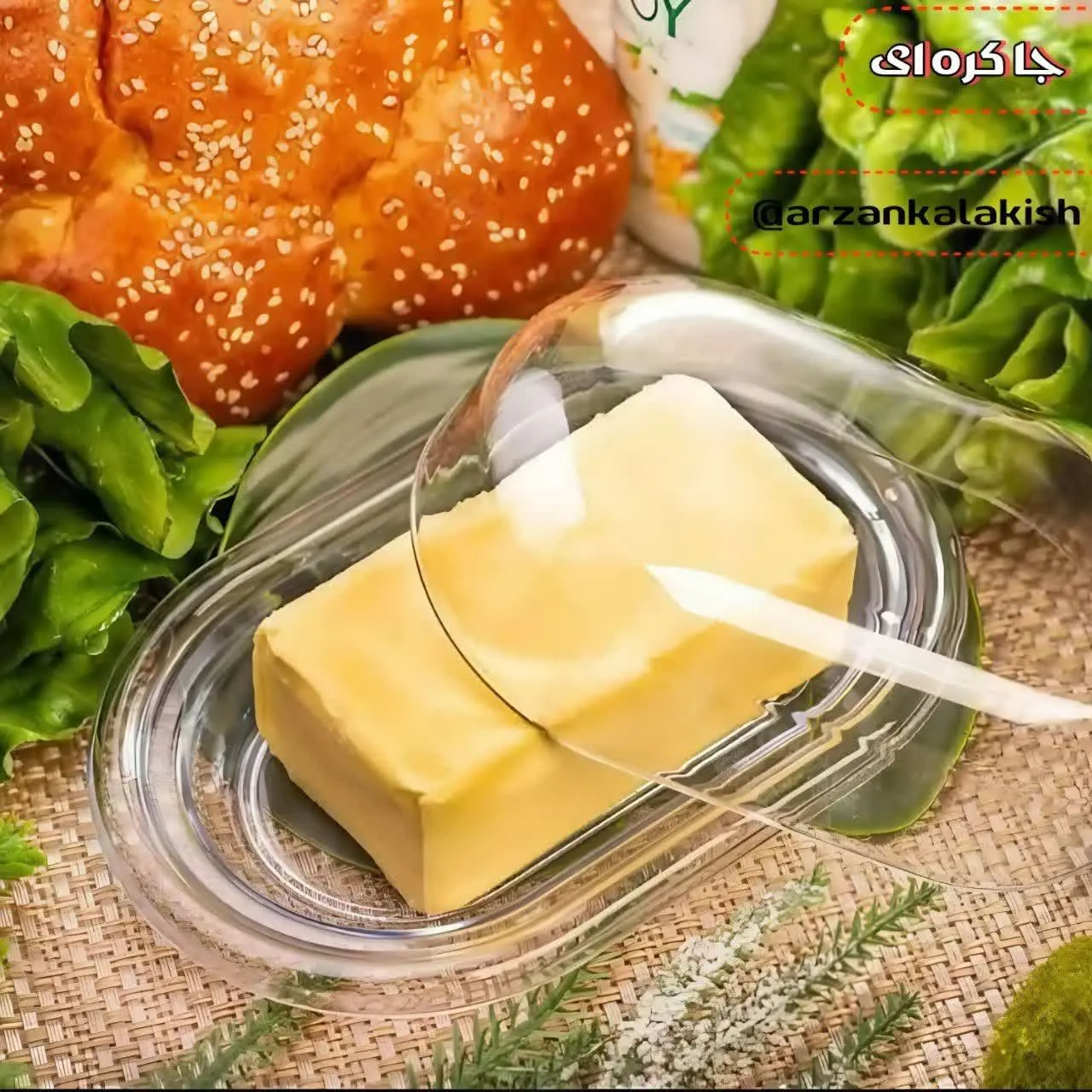 جا کره‌ای 🧈
