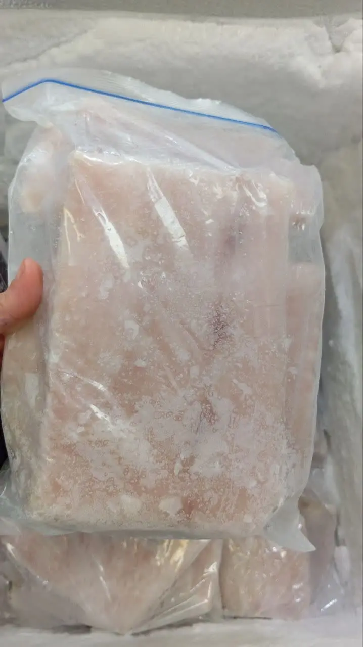 فیله ماهی گوشت فله