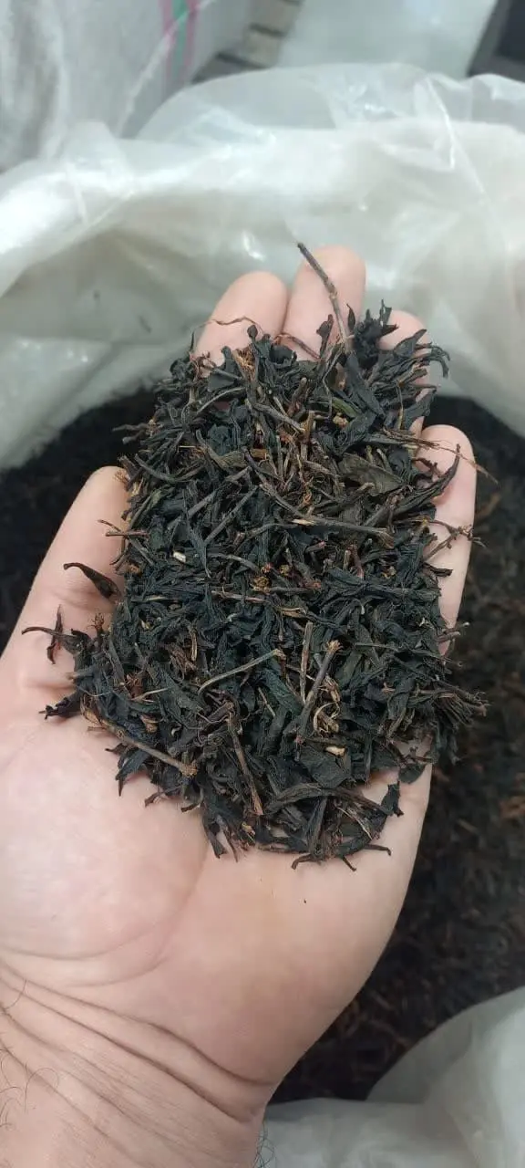 💸 چای قلم | ارزون، ولی باکیفیت
