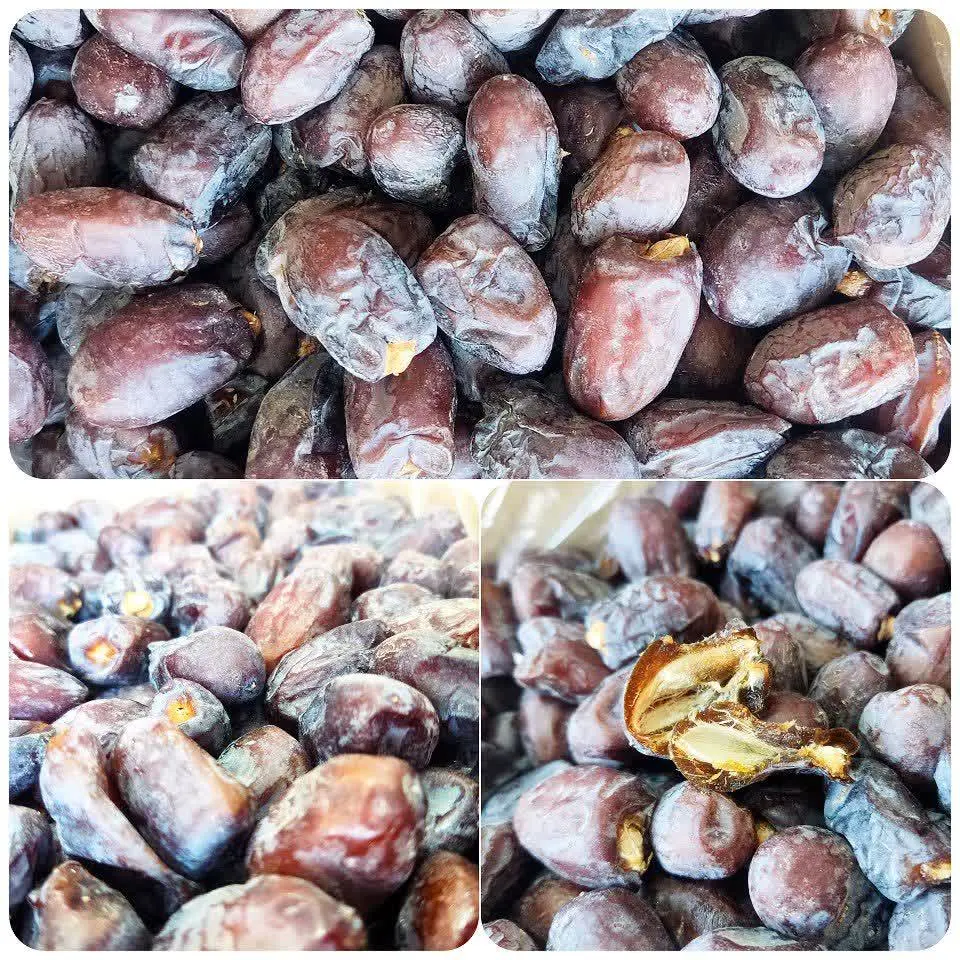 🌴 خرما کلوته 🌴
