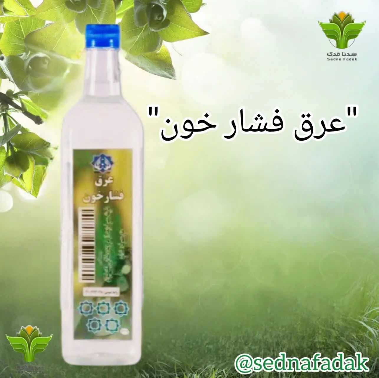 🩸عرق فشار خون🩸
