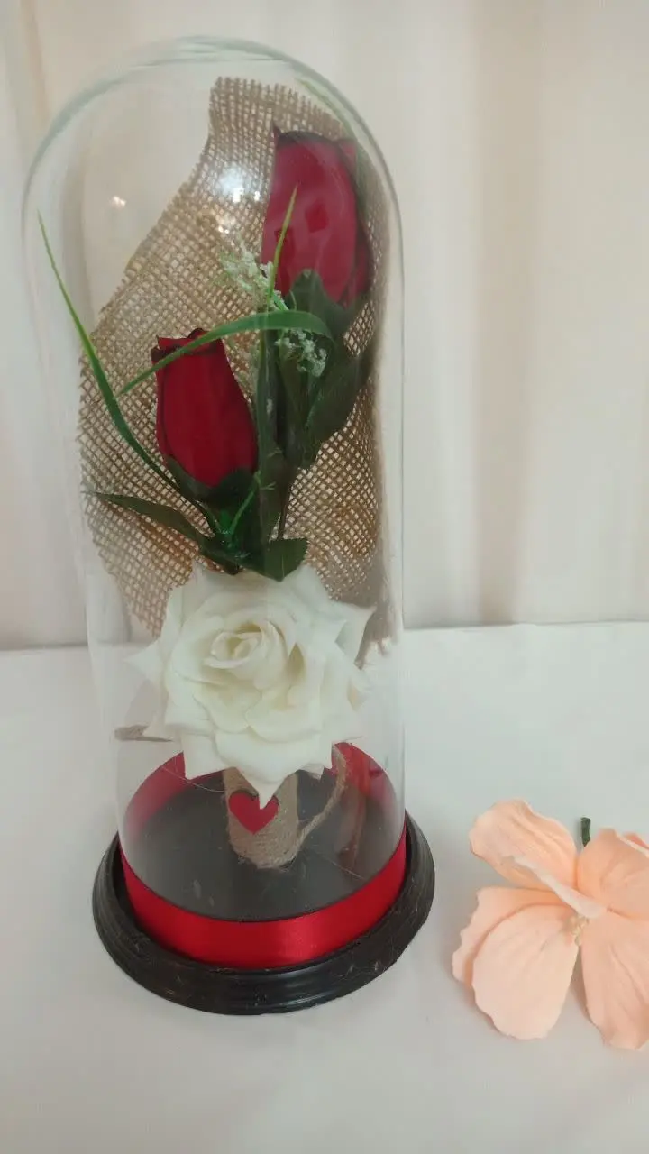 حباب رز بزرگ 🌈
