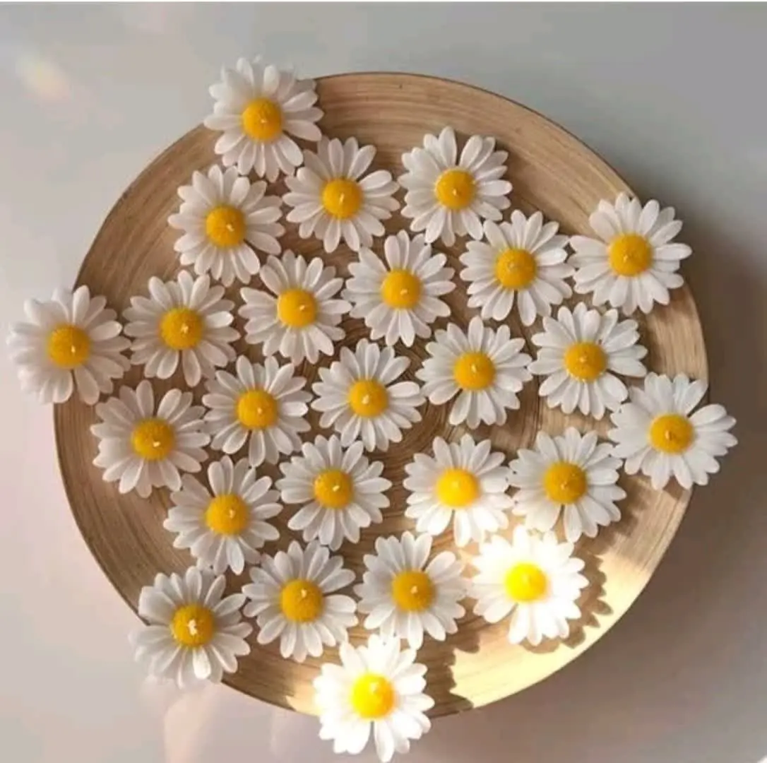 . مدل شمع: بابونه ۵ سانت