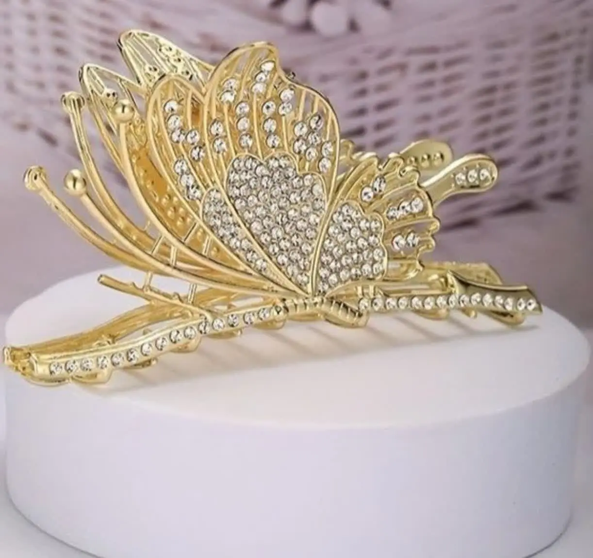 🦋کلیپس مجلسی پروانه نشسته ب...