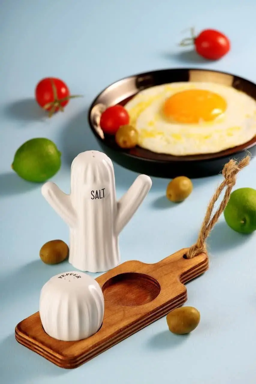 نمکدان کاکتوس۲تایی
