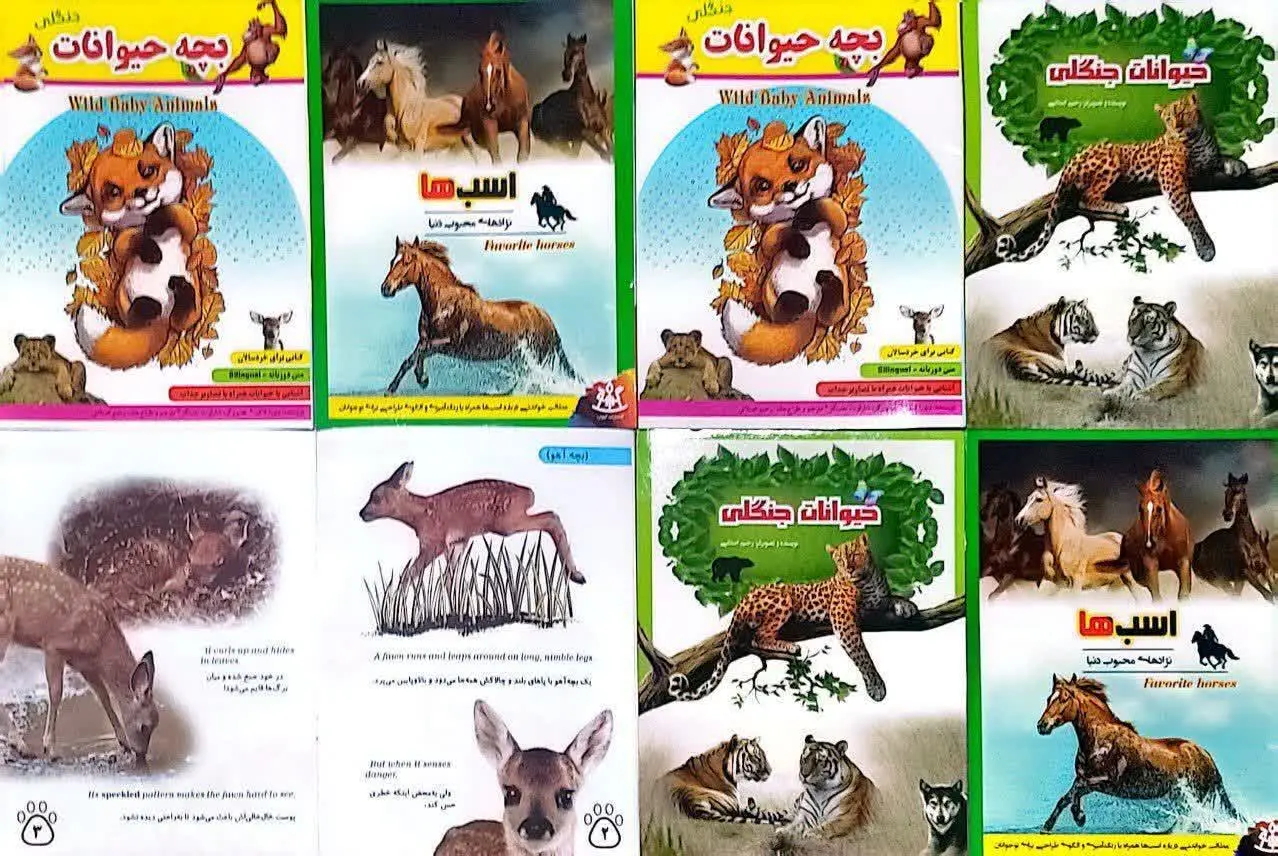 📚 کتاب آموزشی حیوانات 
