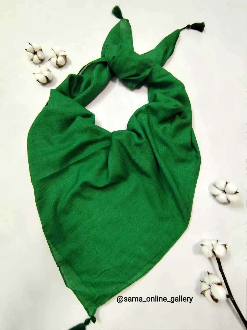 🪴🪴🪴🪴🪴🪴🪴🪴🪴🪴
