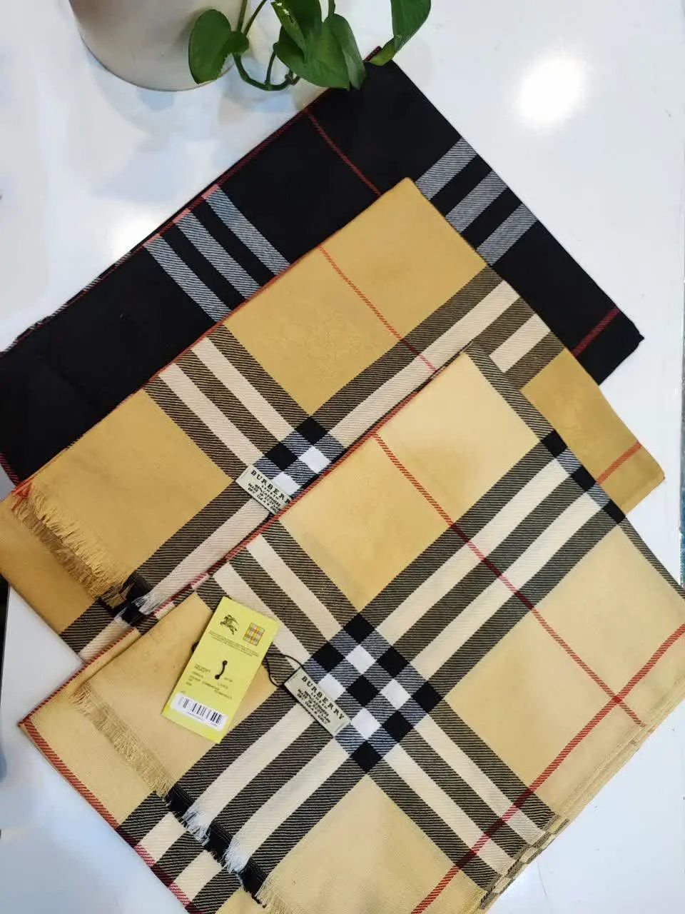 🍁 شاااال بربری 
