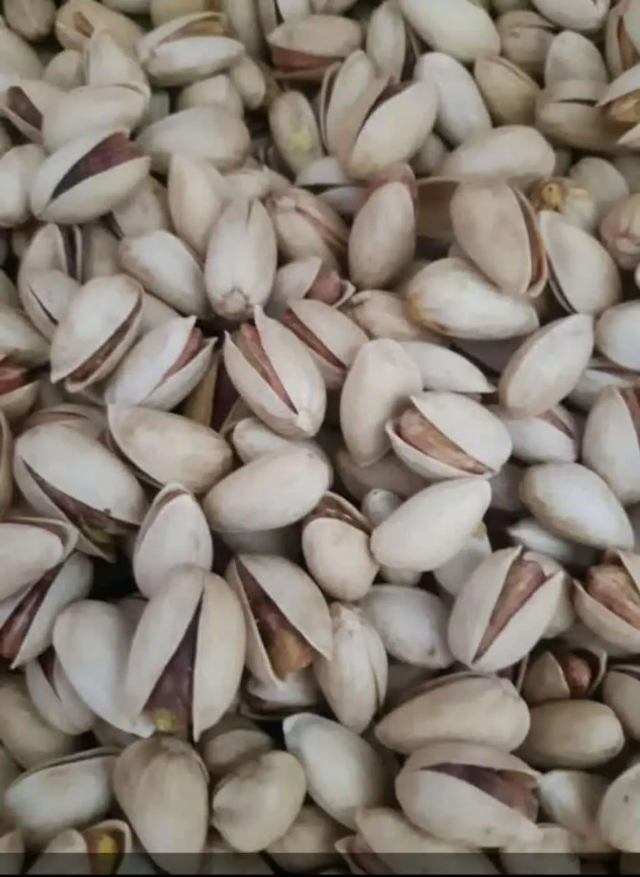 دوستان پسته‌های عالییییی برا شب یلدا 
