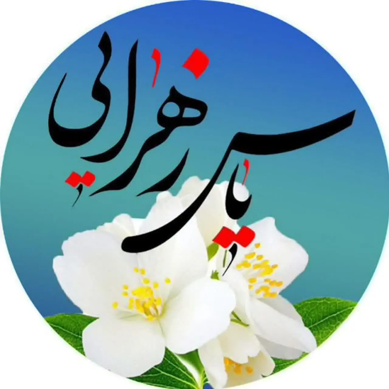 ارزانسرای یاس زهرایی
