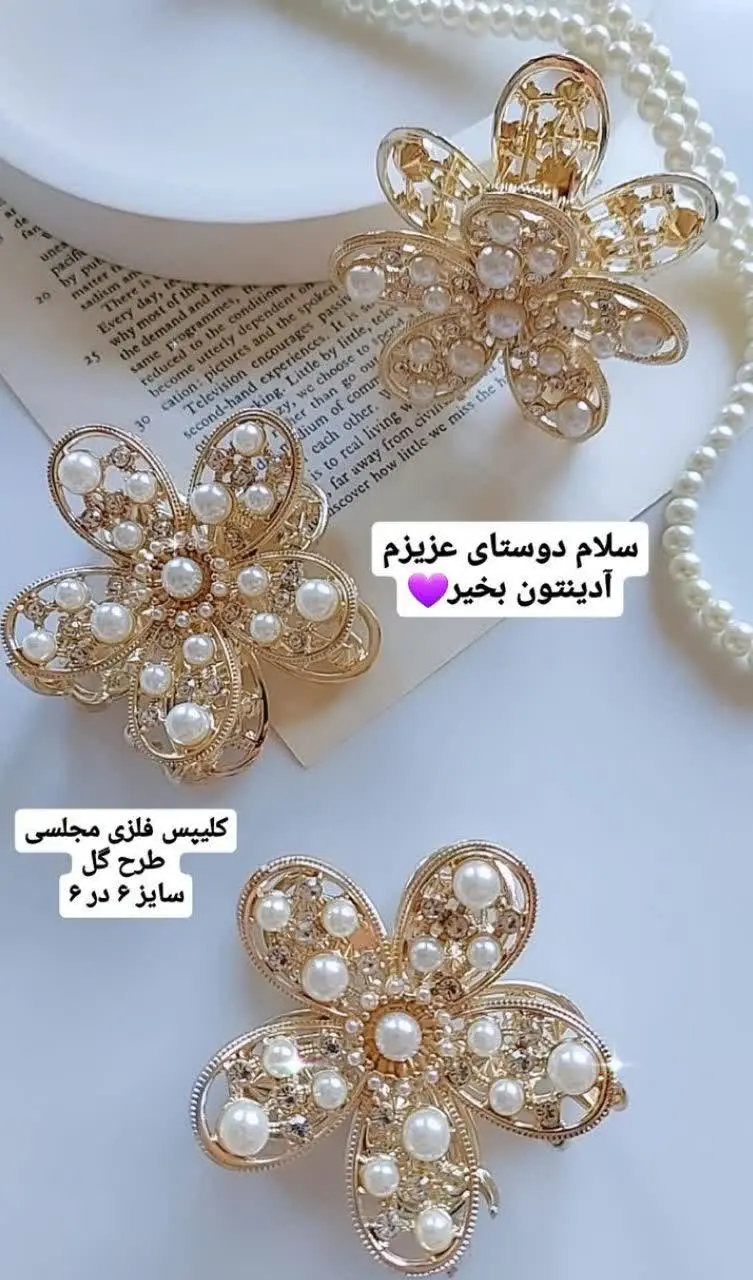 کلیپس فلزی مجلسی
