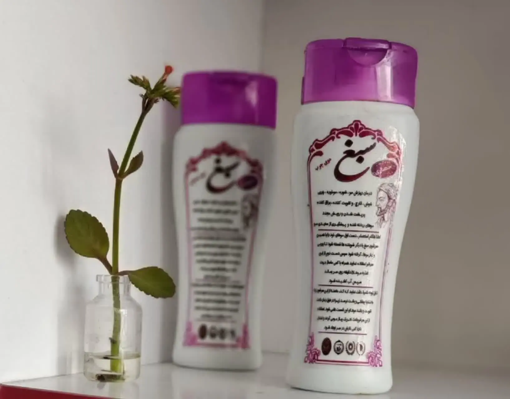 ✅ شامپو گیاهی سبغ اصلی (حصاری) 
