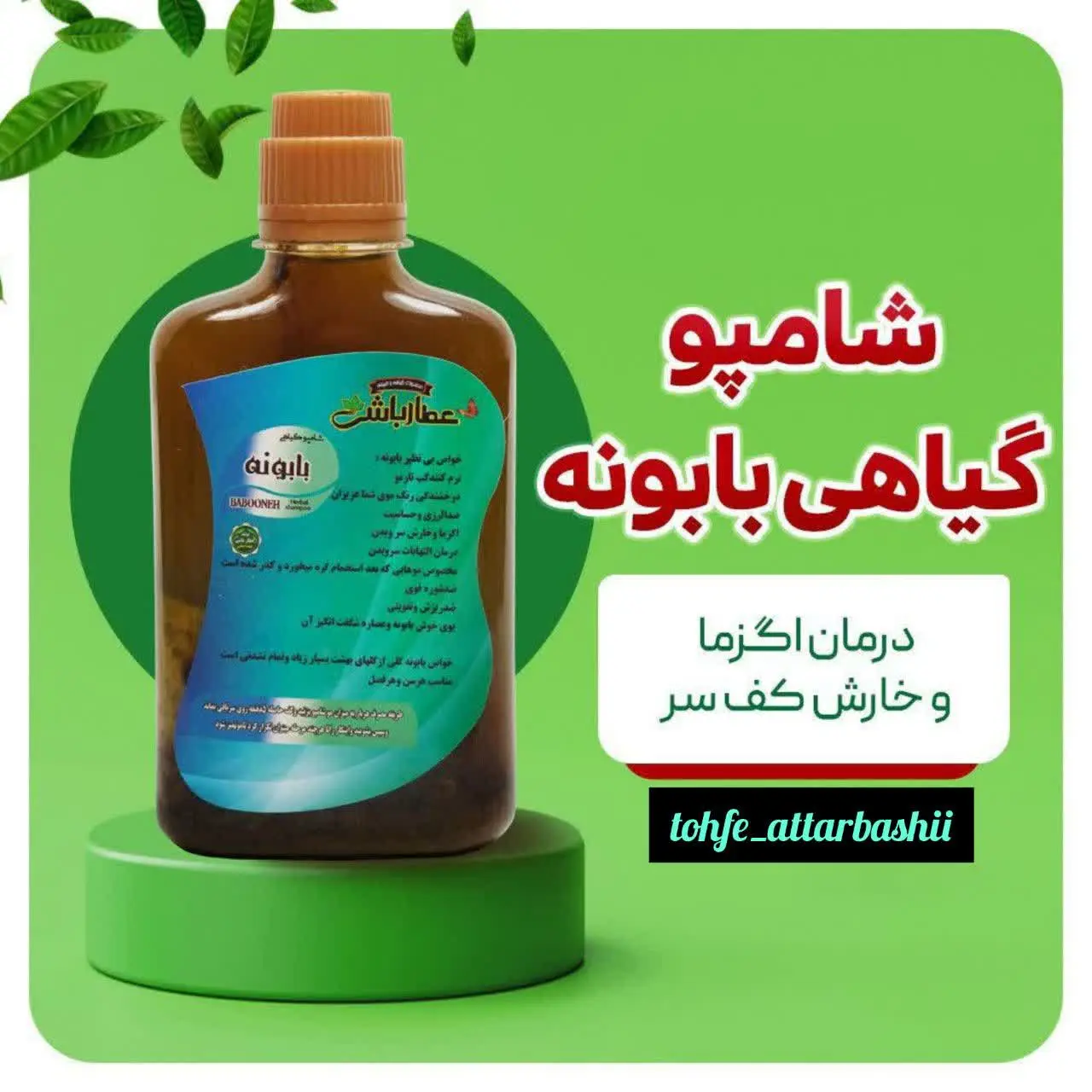 شامپو بابونه سبز 
