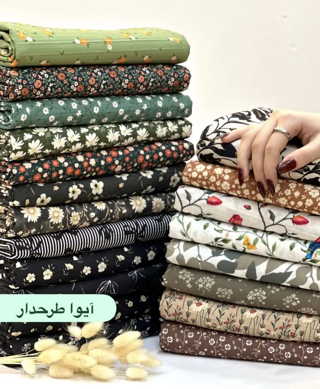  آیوا طرحدار 
