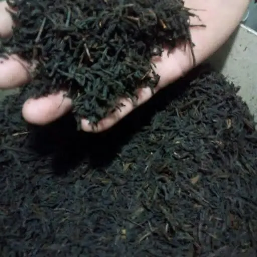 🌿 چای قلم بهاره ۱۴۰۳**، انتخابی عالی برای دوستداران چای طبیعی و اصیل! 
