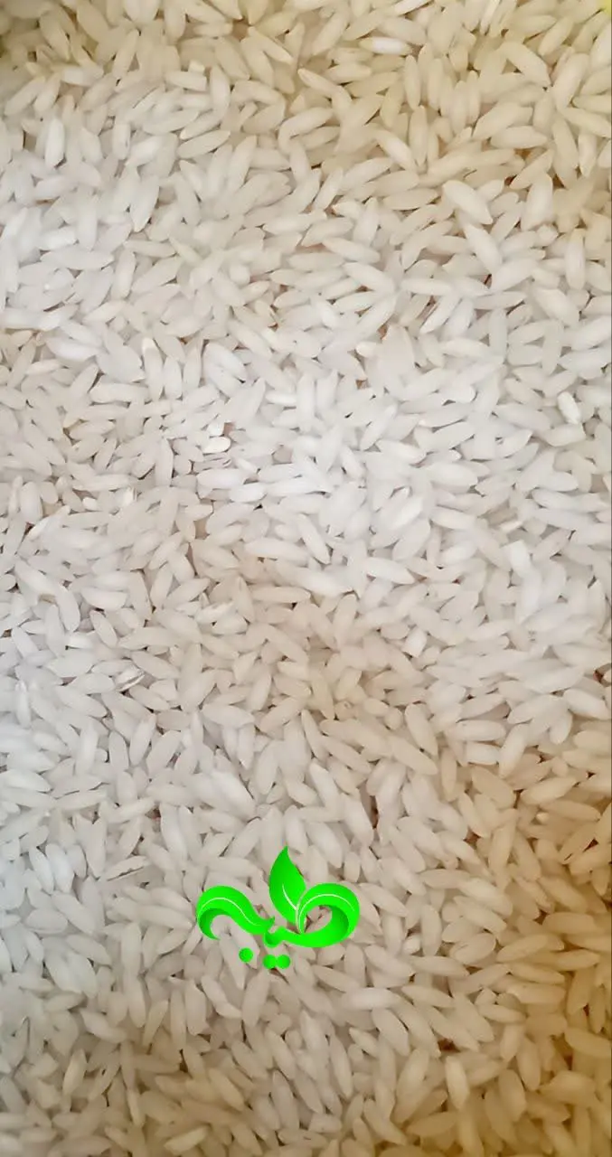 🍃#برنج_عنبر_بو_جنوب🍃
