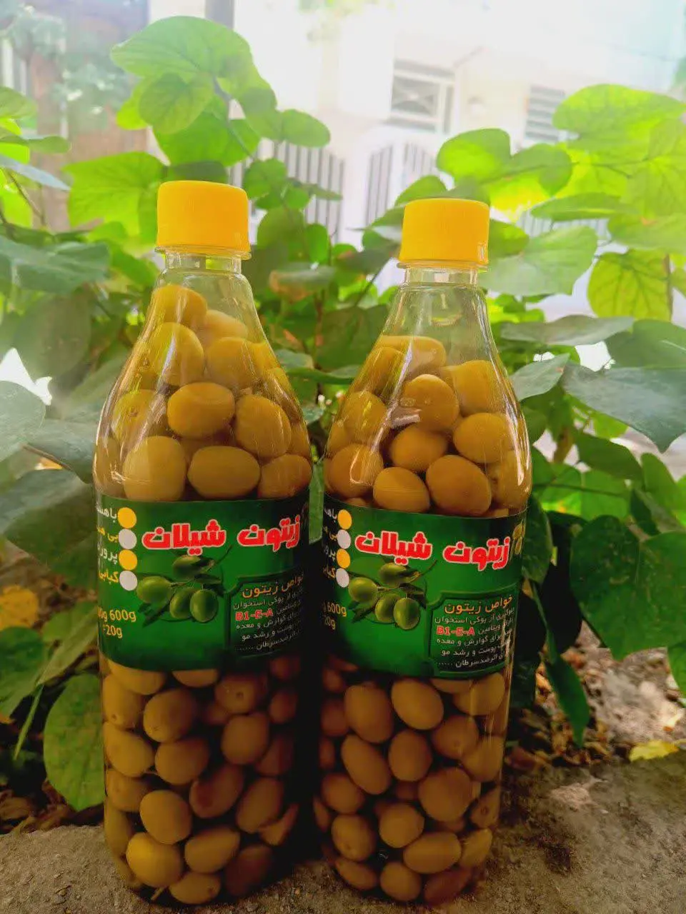 🍃 معمولا زیتون چون با ماده‌ای بنام سود فرآوری میشود، پس نمی‌توان به آن یک محصول تماما ارگانیک گفت😊
