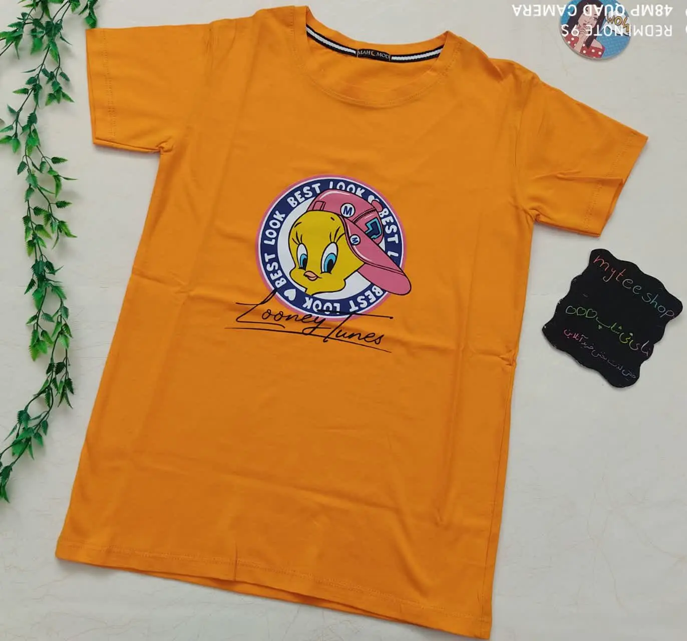 چاپ: زول، مقاوم و ترک نمیخوره❌