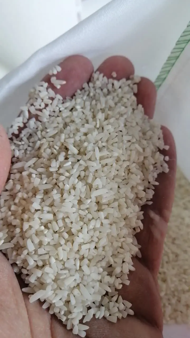 شاید فک کنی این سرلاشست
