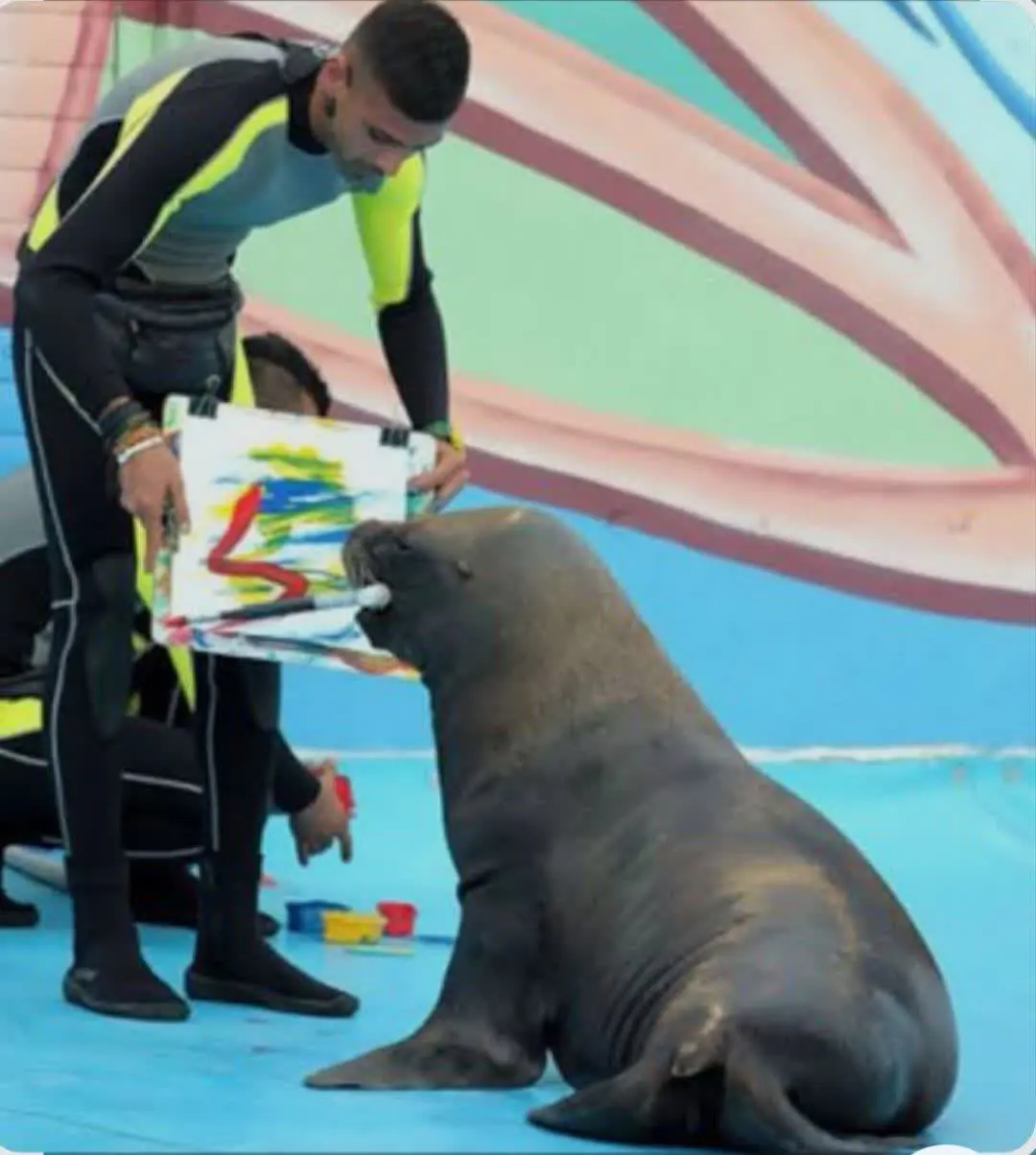 نقاشی تابلو دلفیناریوم برج...