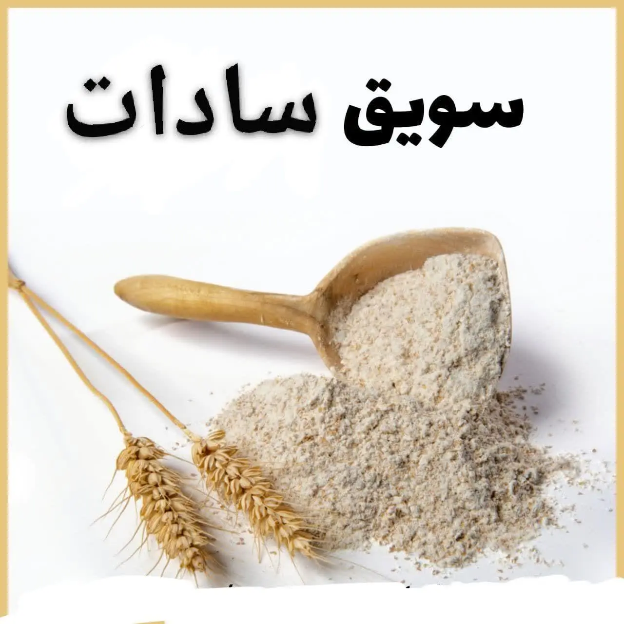 🌾 تولید روز
