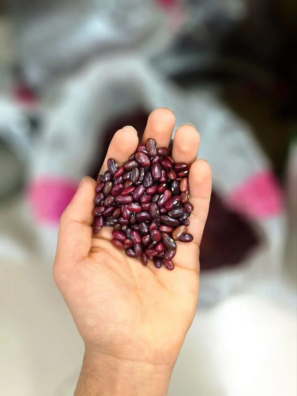 لوبیا قرمز خارجی