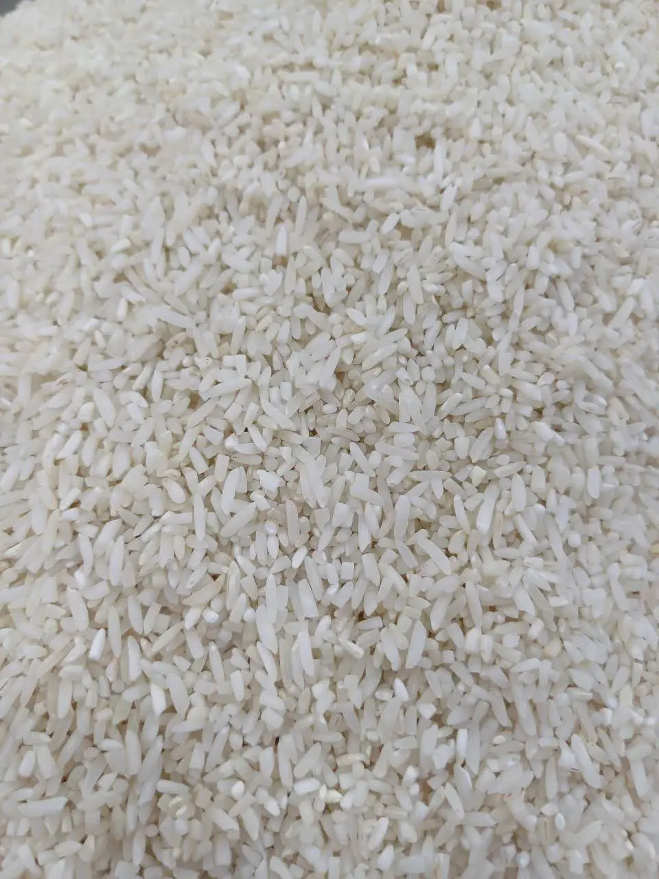 برنج سرلاشه شمال
