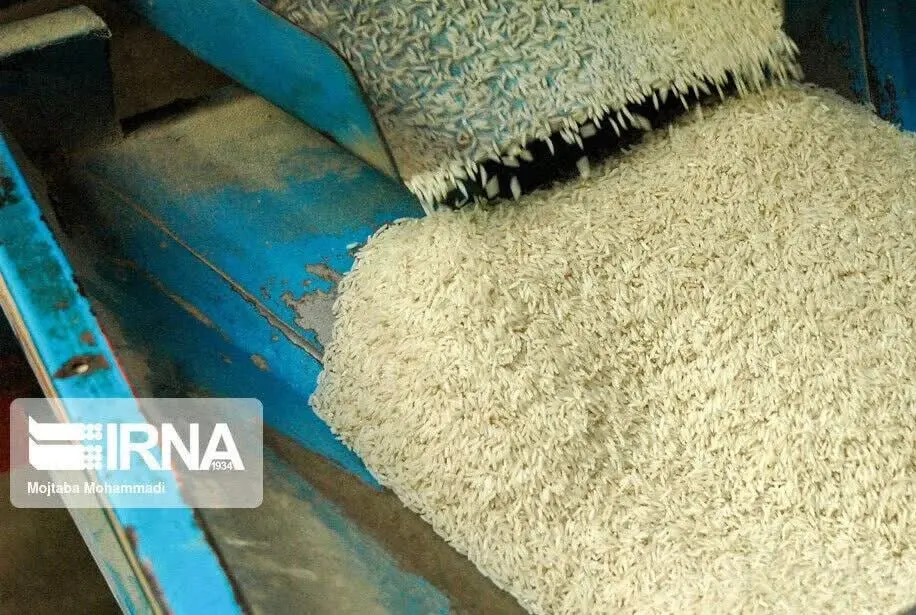 🔹رصد قیمت برنج های تازه ایر...