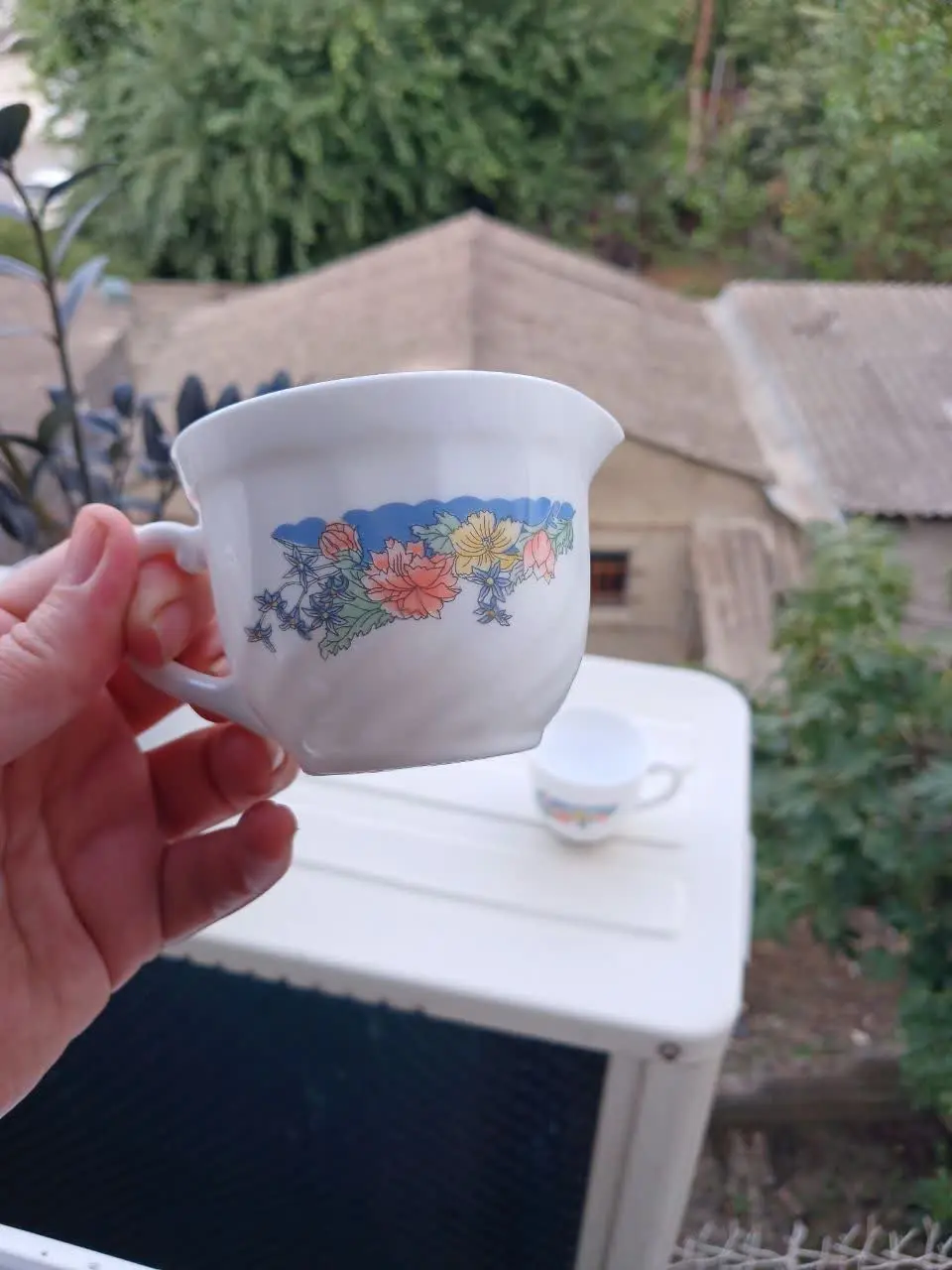 سس ریز ارکوپال فلو 
