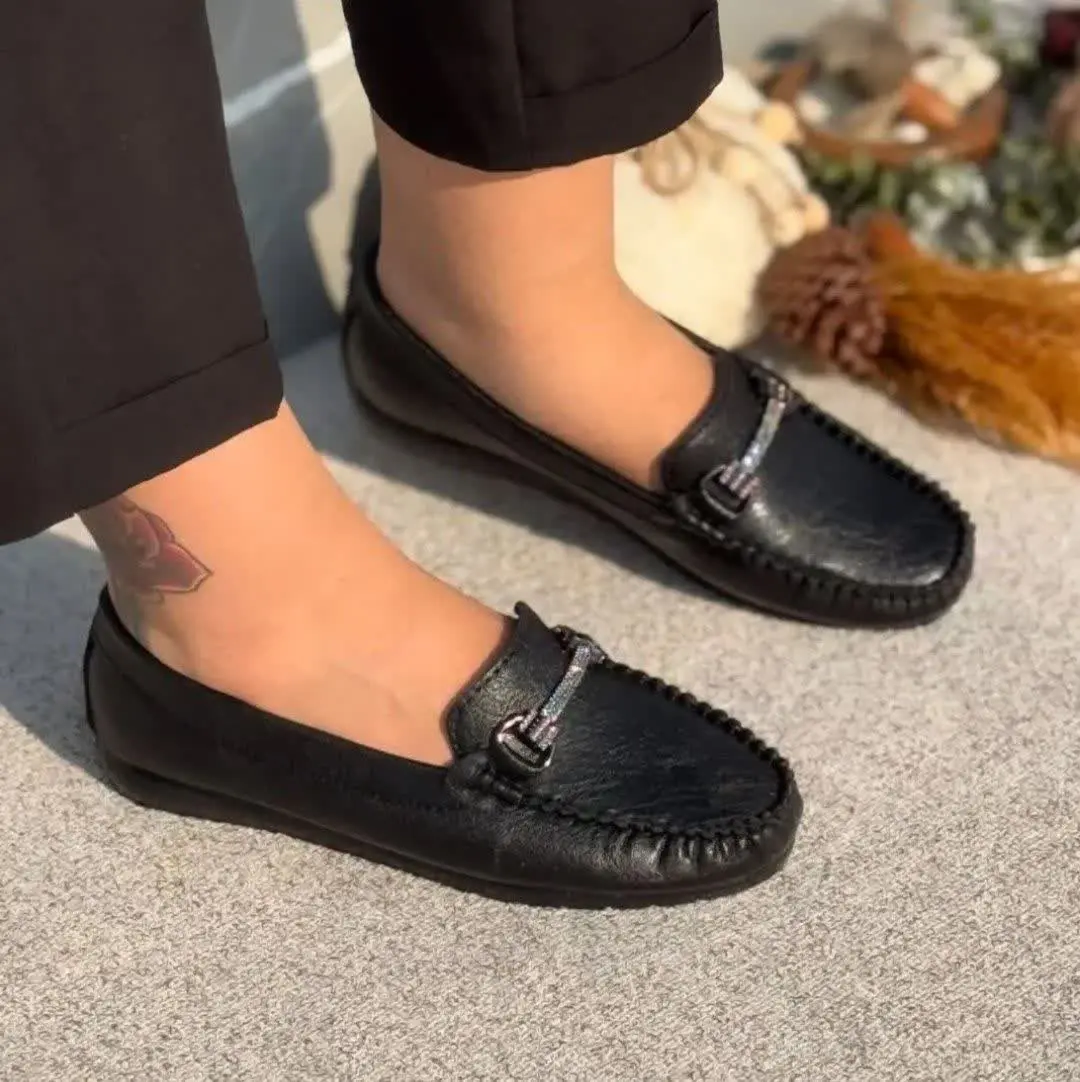 کالج جدید اسپرت 
